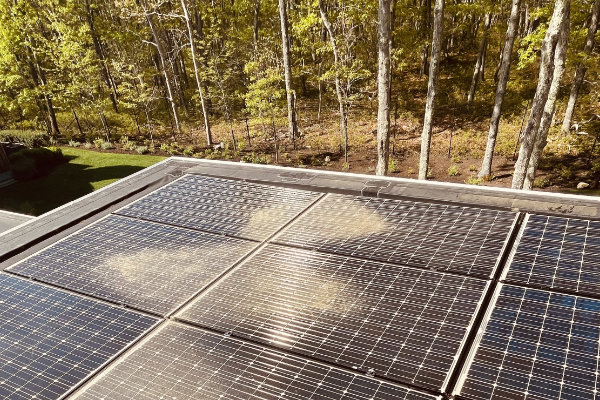 solar-panel-cleaning